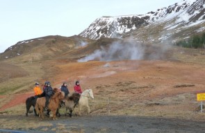 Islandshästar framför berget